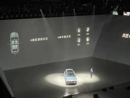 岚图,它不演了